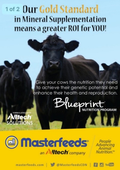 Masterfeeds Blueprint Nutrition Program