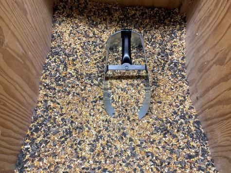 Bulk Bird Seed