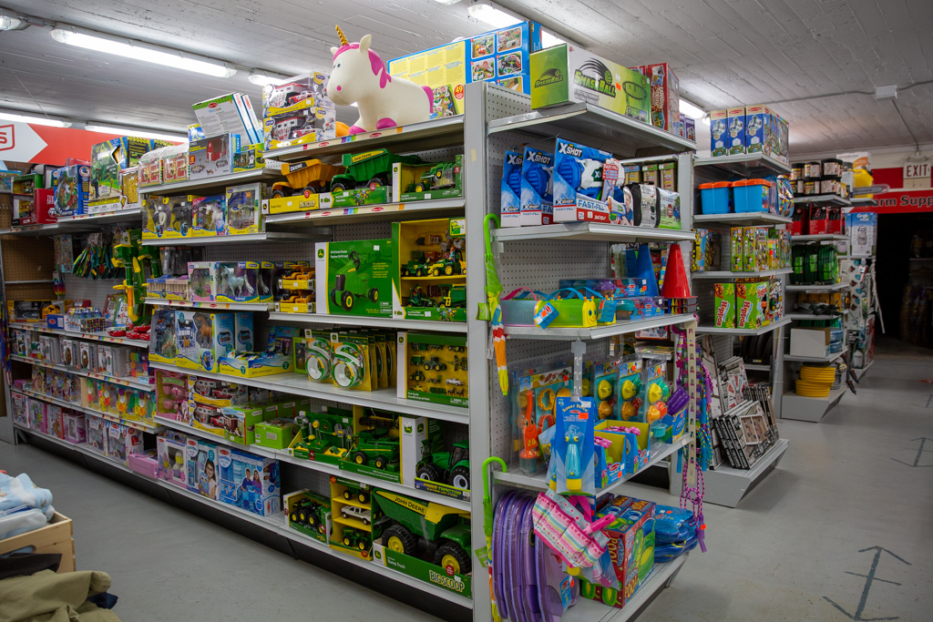 Toys on shelves in Picton store
