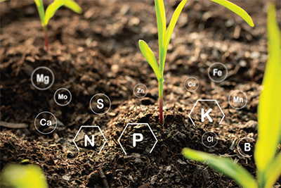 Image of soil with nutrient formulas overlay