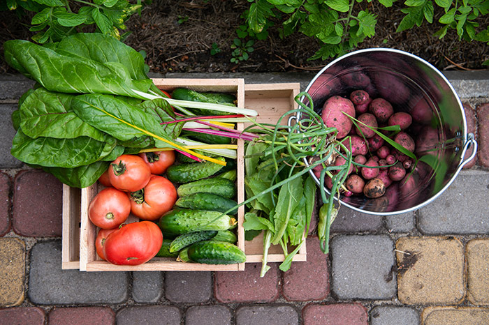 Vegetables from the garden